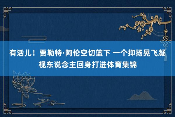 有活儿！贾勒特·阿伦空切篮下 一个抑扬晃飞凝视东说念主回身打进体育集锦