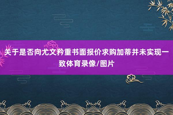 关于是否向尤文矜重书面报价求购加蒂并未实现一致体育录像/图片