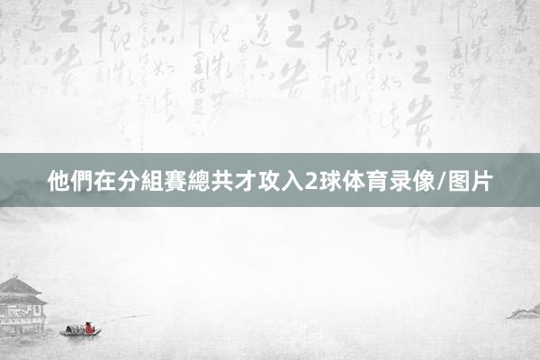 他們在分組賽總共才攻入2球体育录像/图片